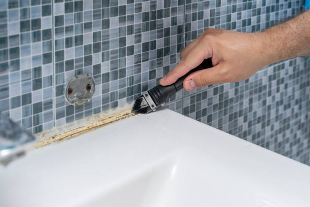 Best Toxic Mold Removal  in Stafford Springs, CT